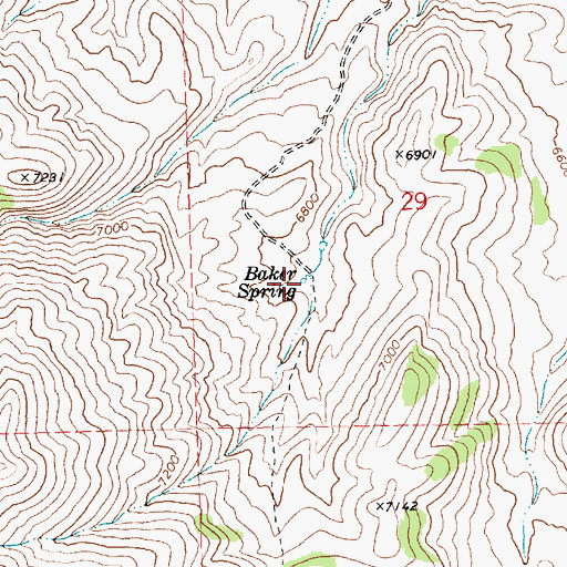 Topographic Map of Baker Spring, NV