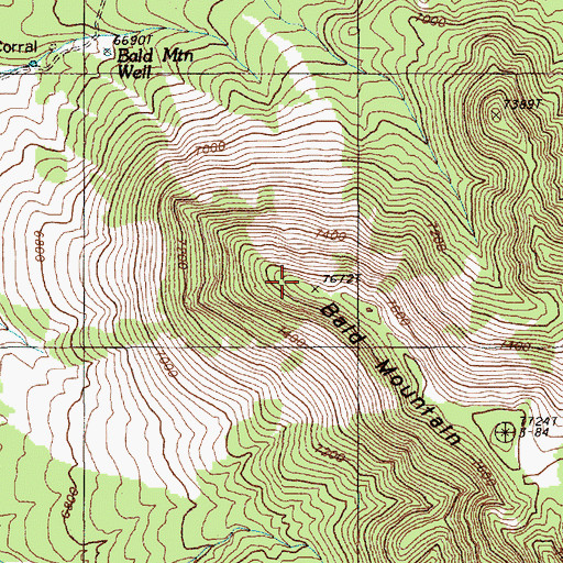 Topographic Map of Bald Mountain, NV