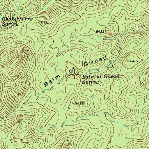 Topographic Map of Balm of Gilead Spring, NV