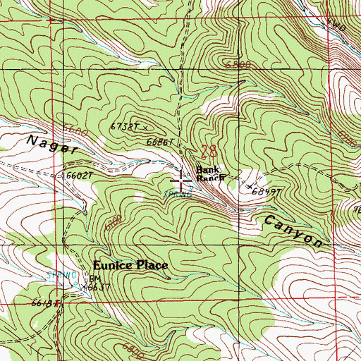 Topographic Map of Bank Ranch, NV