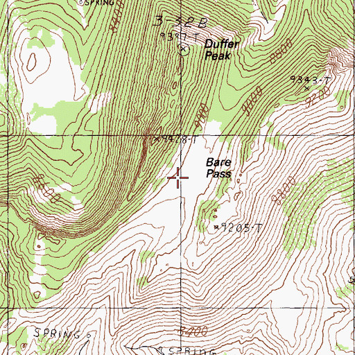 Topographic Map of Bare Pass, NV