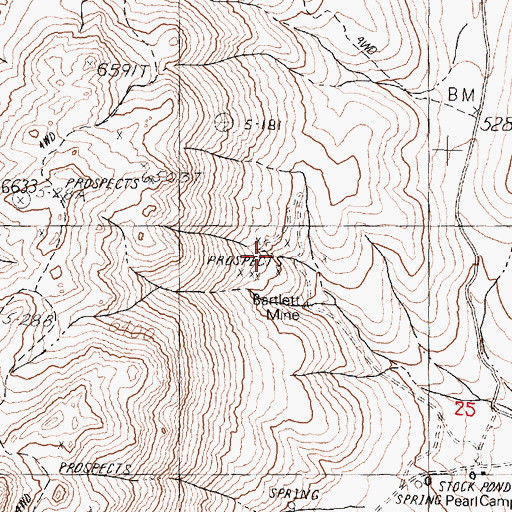 Topographic Map of Bartlett Mine, NV