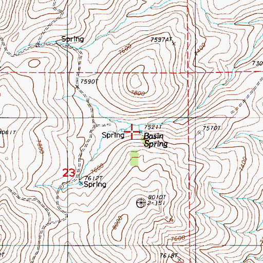 Topographic Map of Basin Spring, NV