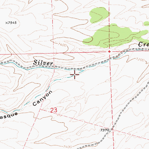 Topographic Map of Basque Canyon, NV