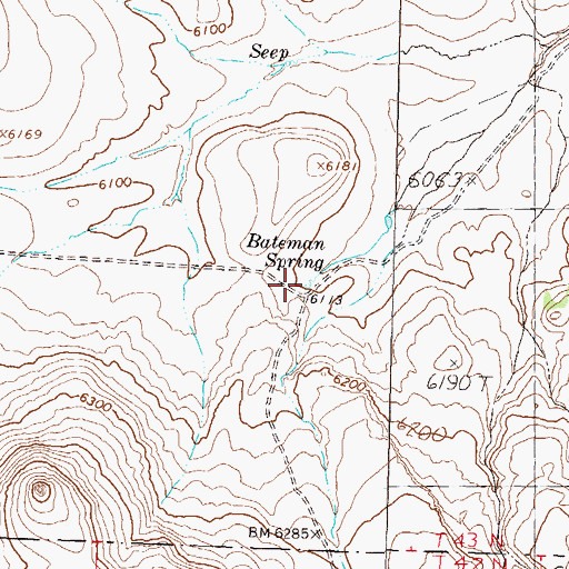 Topographic Map of Bateman Spring, NV