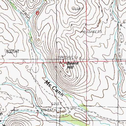 Topographic Map of Beard Hill, NV