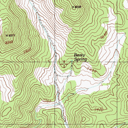 Topographic Map of Beaty Spring, NV