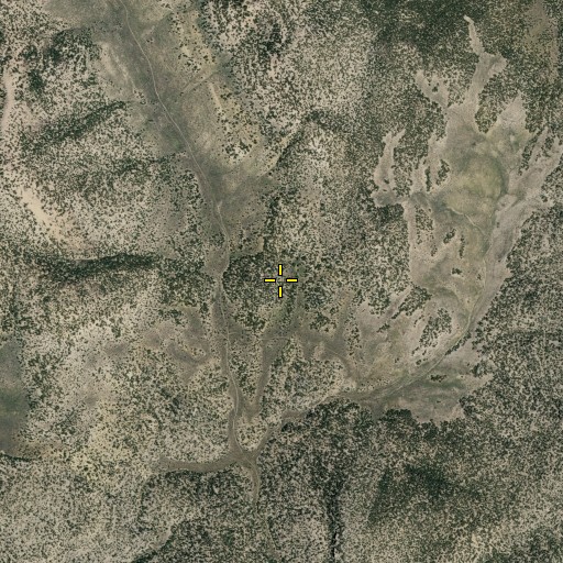 Aerial/Satellite Image of Beaty Spring, NV