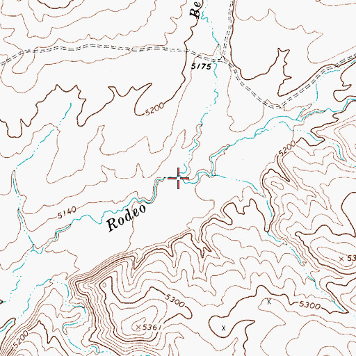 Topographic Map of Bell Creek, NV
