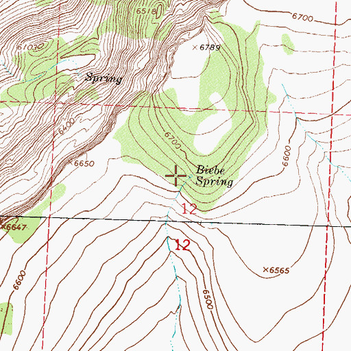 Topographic Map of Biebe Spring, NV