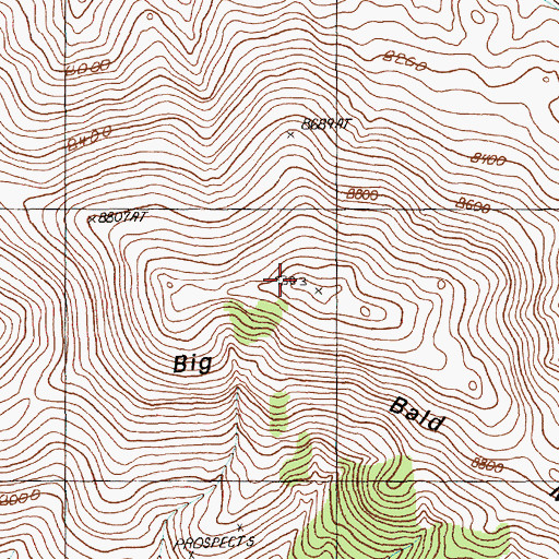 Topographic Map of Big Bald Mountain, NV
