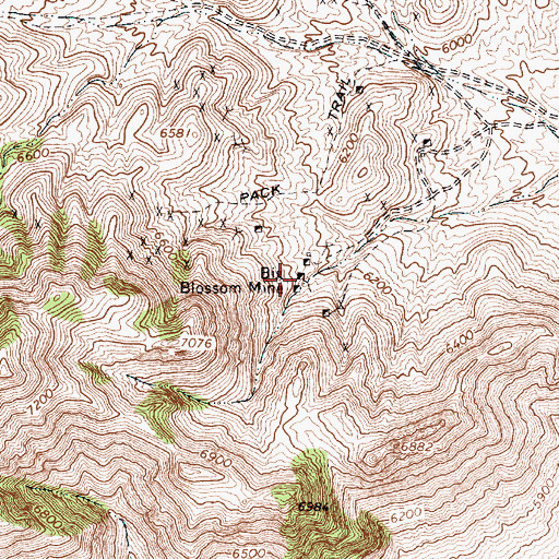 Topographic Map of Big Blossom Mine, NV