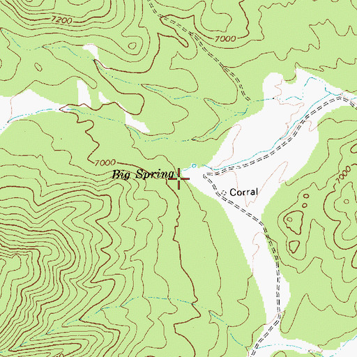 Topographic Map of Big Spring, NV