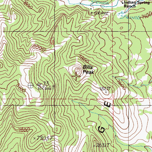 Topographic Map of Bills Peak, NV