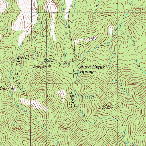 Topographic Map of Birch Creek Spring, NV