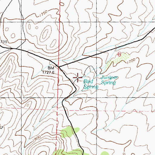 Topographic Map of Bird Spring, NV
