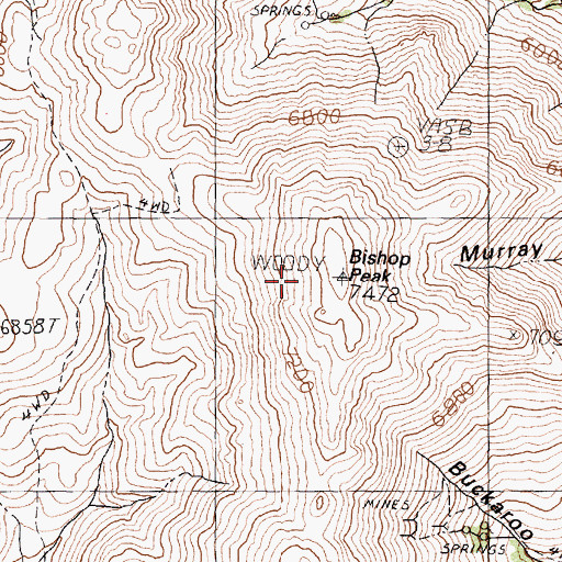 Topographic Map of Bishop Peak, NV