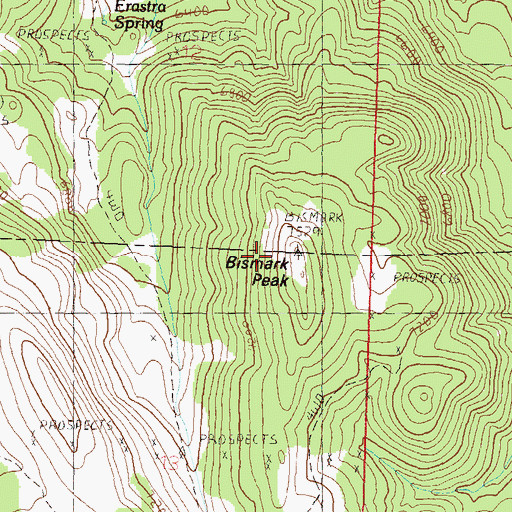 Topographic Map of Bismark Peak, NV