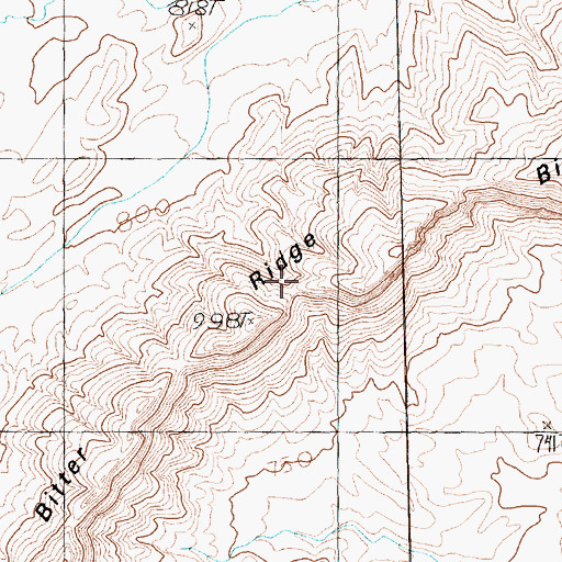 Topographic Map of Bitter Ridge, NV