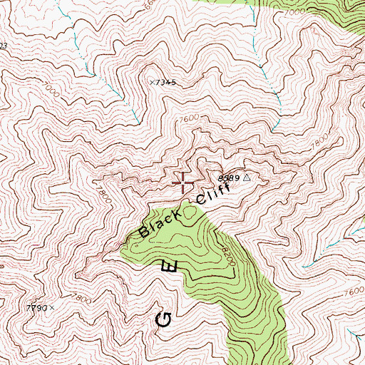 Topographic Map of Black Cliff, NV