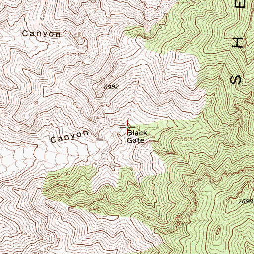 Topographic Map of Black Gate, NV