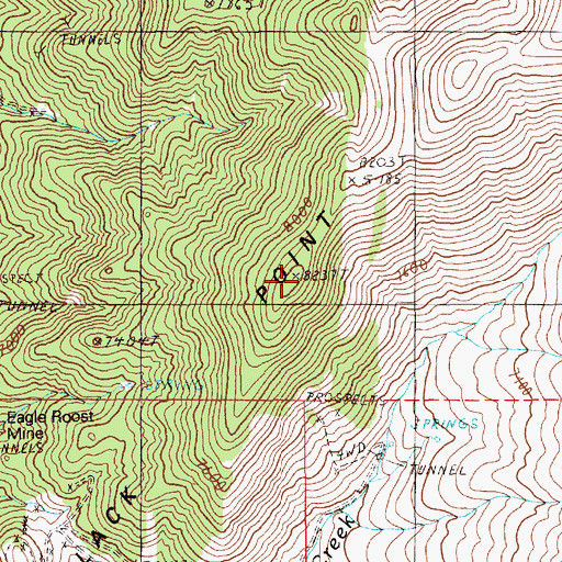 Topographic Map of Black Point, NV