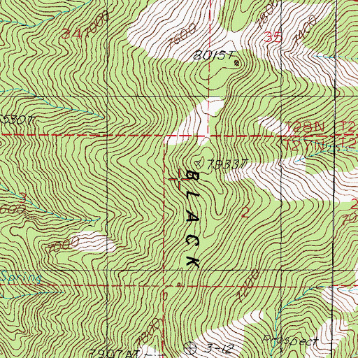 Topographic Map of Black Ridge, NV