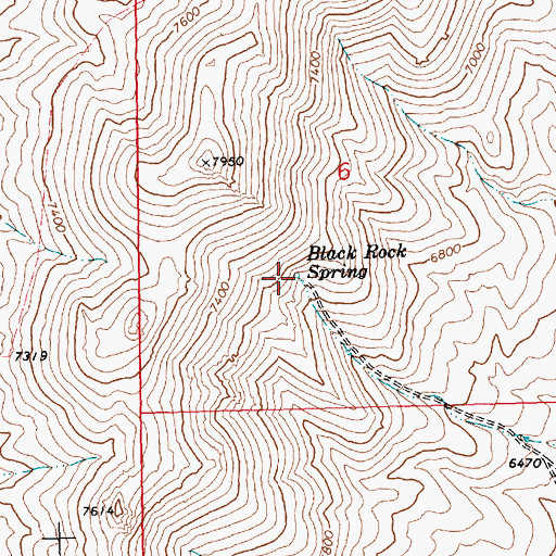 Topographic Map of Black Rock Spring, NV