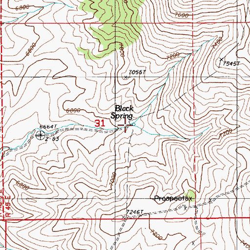 Topographic Map of Black Spring, NV