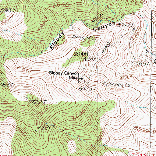 Topographic Map of Bloody Canyon Mine, NV