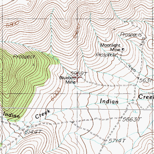 Topographic Map of Bluebird Mine, NV