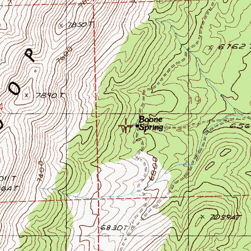 Topographic Map of Boone Spring, NV
