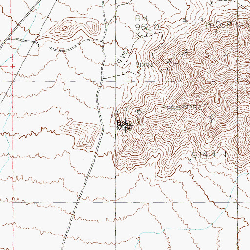 Topographic Map of Boss Mine, NV