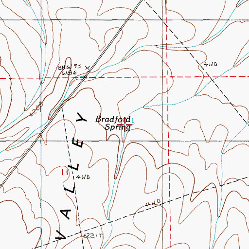 Topographic Map of Bradford Spring, NV