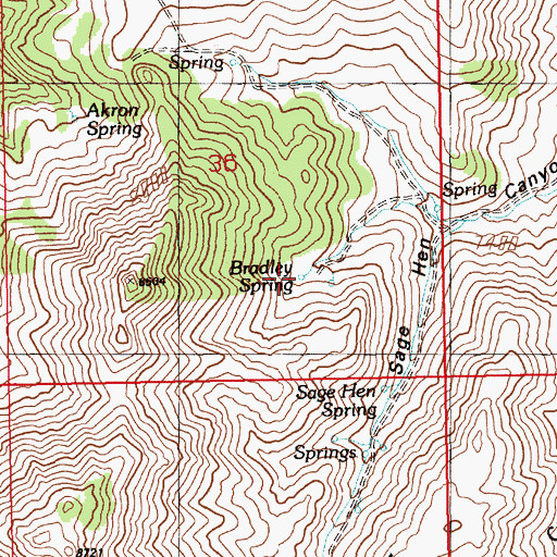 Topographic Map of Bradley Spring, NV