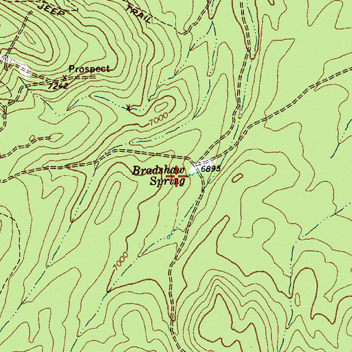 Topographic Map of Bradshaw Spring, NV