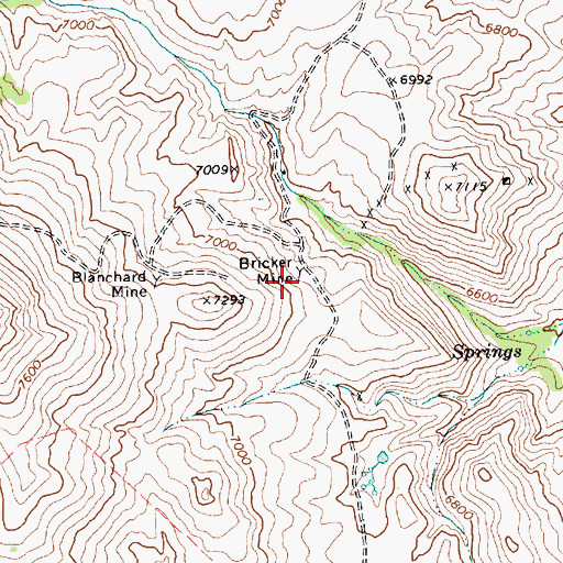 Topographic Map of Bricker Mine, NV