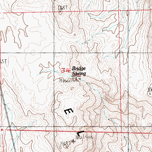 Topographic Map of Bridge Spring, NV