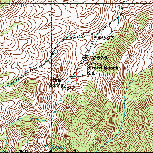Topographic Map of Brier Spring, NV