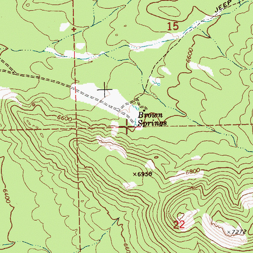 Topographic Map of Brown Springs, NV