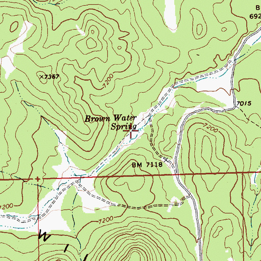 Topographic Map of Brown Water Spring, NV