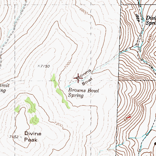 Topographic Map of Browns Bowl, NV