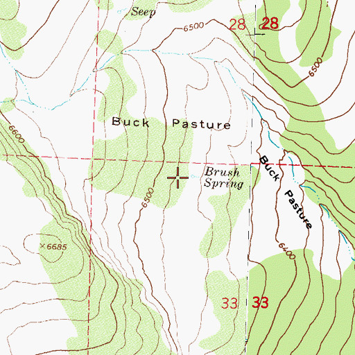 Topographic Map of Brush Spring, NV