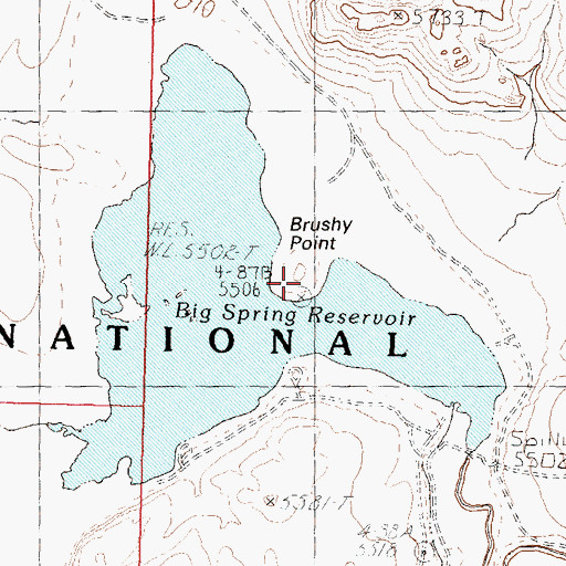 Topographic Map of Brushy Point, NV