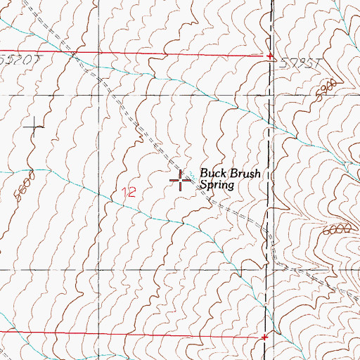 Topographic Map of Buck Brush Spring, NV