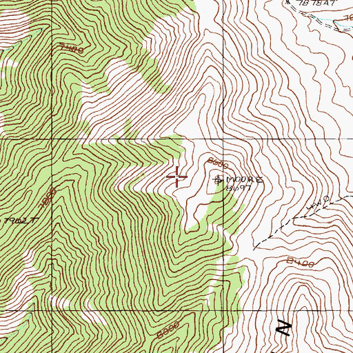 Topographic Map of Buck Mountain, NV
