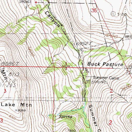 Topographic Map of Buck Pasture, NV