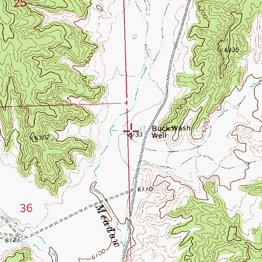 Topographic Map of Buck Wash Well, NV