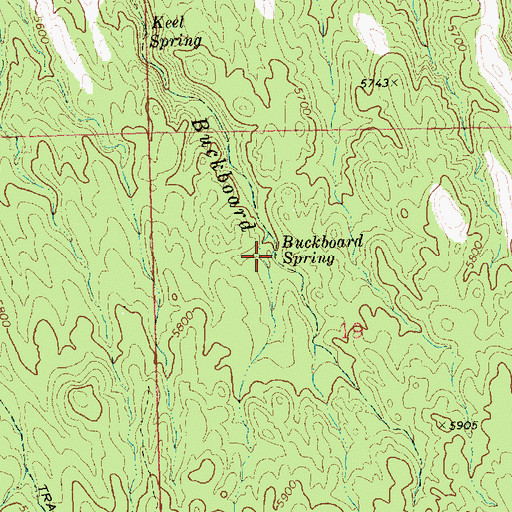 Topographic Map of Buckboard Spring, NV