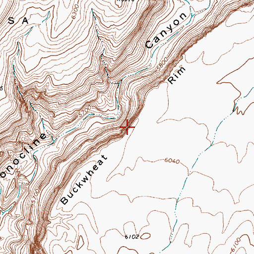 Topographic Map of Buckwheat Rim, NV